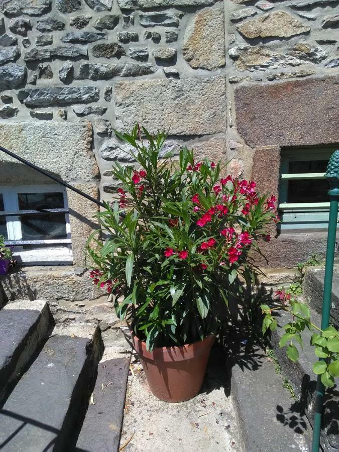 Le Refuge Des Alpes Mancelles Apartment Fresnay-sur-Sarthe ภายนอก รูปภาพ
